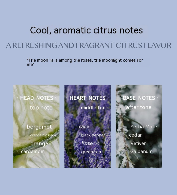 Citrus Aromatic Perfume