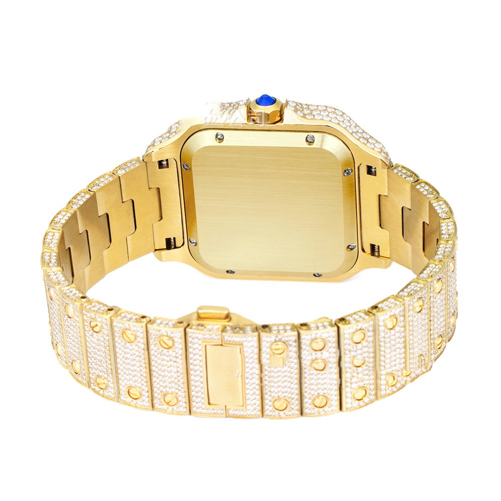 Clarity Moissanite Stainless Steel Watch